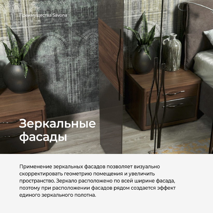 Двухдверный шкаф с зеркалом SAVONA AT2524.1