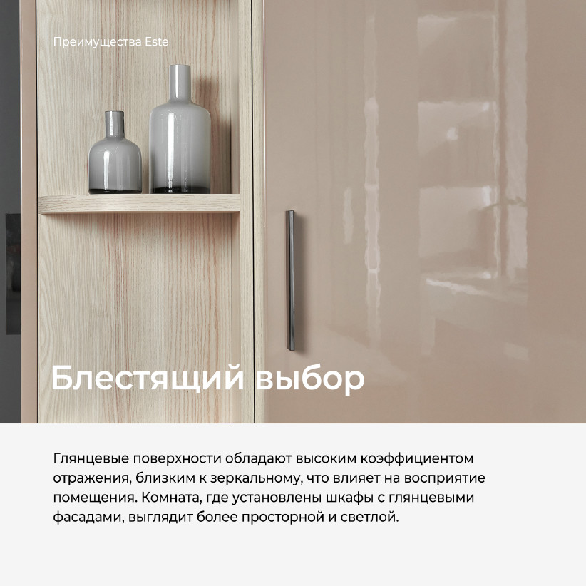 Однодверный шкаф ESTE ST602.2