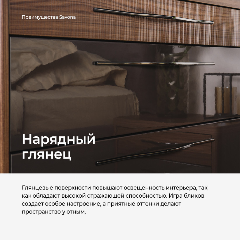 Однодверный шкаф SAVONA AT2501.2